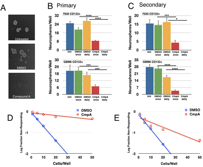 Pharmacological inhibition of the IKK/NF-&#x3ba;B pathway decreases tumorsphere formation.