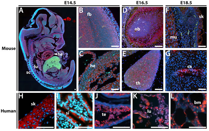 Figure 3: