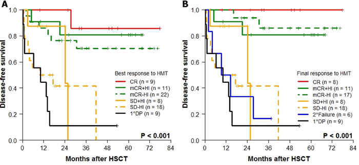 Kaplan-Meier analyses for DFS according to HMT response (