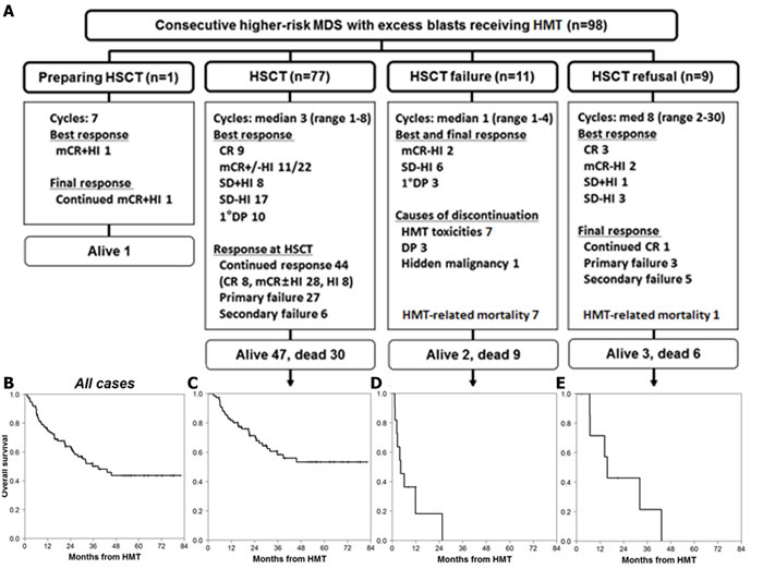Response and survival from HMT initiation in higher-risk MDS patients with excess blasts.