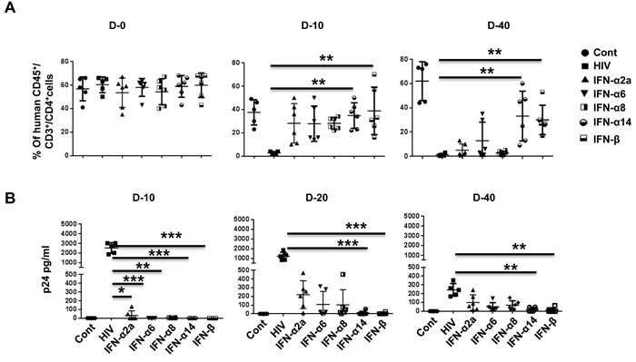 IFN-&#x3b1;14 and IFN-&#x3b2; confer prolonged protection against HIV-1 in Hu-PBL mice compared to IFN-&#x3b1;2 and IFN-&#x3b1;8.