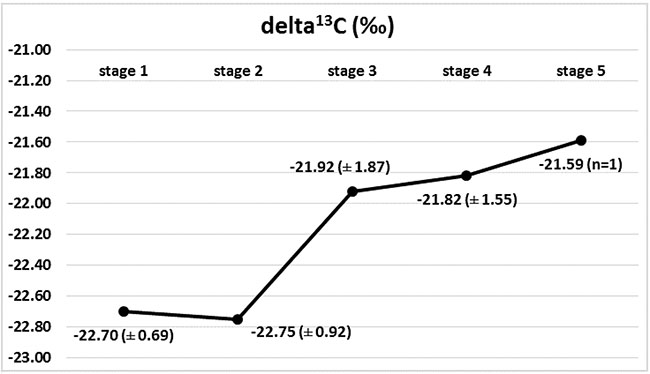 Isotopic composition of carbon (delta 13C) in Wilms&#x2019; tumour group in subsequent stages of disease, with marked 13C enrichment between stages 2 and 3.