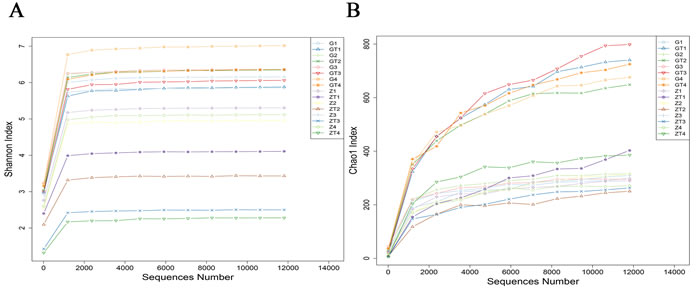 The rarefraction curves of Shannon index