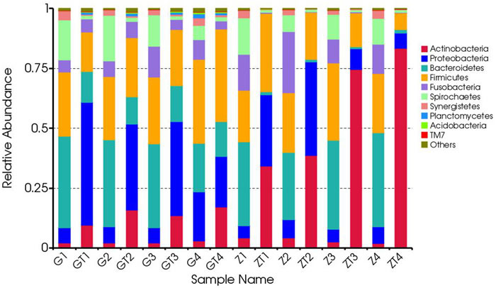 Composition and relative abundance communities based on 16S rDNA sequence in phylum level.