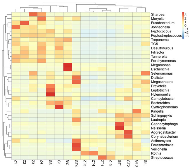 Relative abundance of the top 35 most prevalent genera in subgingival plaque samples before and after intervention.