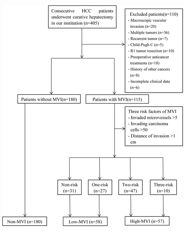 Flow diagram of enrolled patients.