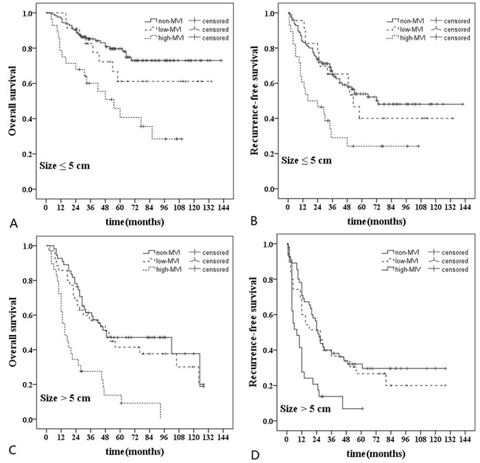 Subgroup analyses in hepatocellular carcinoma patients according to the tumor size.