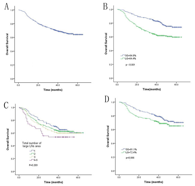 Comparison of the overall long-term survival rate between the LG and SG before and after matching.
