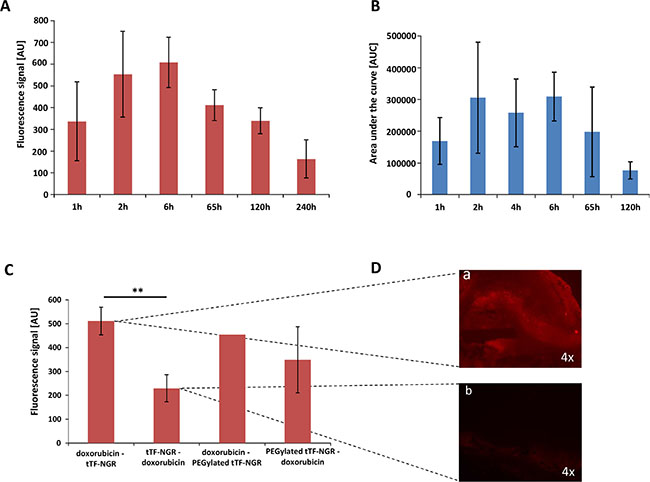 Fluorescence- and HPLC-based quantification of doxorubicin content in tumor tissue.