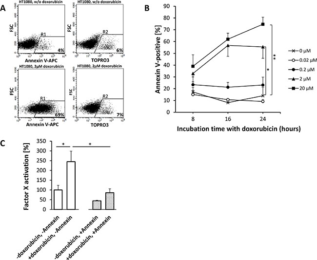 Doxorubicin-induced phosphatidylserine (PS) expression on HT1080 fibrosarcoma cells enhances the procoagulatory activity of tTF-NGR.