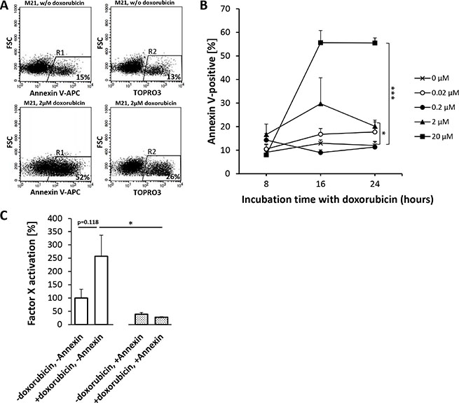 Doxorubicin-induced phosphatidylserine (PS) expression on M21-melanoma cells enhances the procoagulatory activity of tTF-NGR.