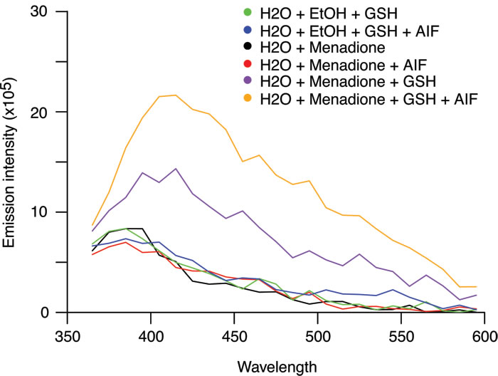 Impact of recombinant AIF on the arylating capacity of menadione.