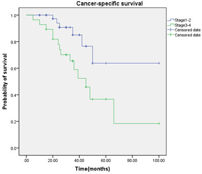 Cancer-specific survival (CSS) by tumor stage between the &#x2265; T2 and &lt; T2 groups.