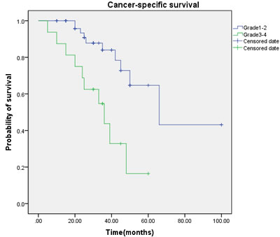 Cancer-specific survival (CSS) by tumor grade between the G1-2 and G3-4 groups.