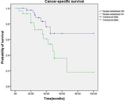 Cancer-specific survival (CSS) by nodal metastasis between the N0 and N+ groups.