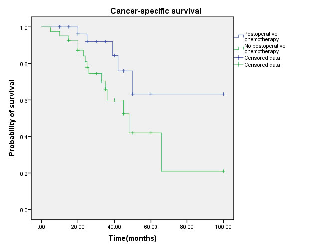 Cancer-specific survival (CSS) by postoperative chemotherapy between yes and no groups.