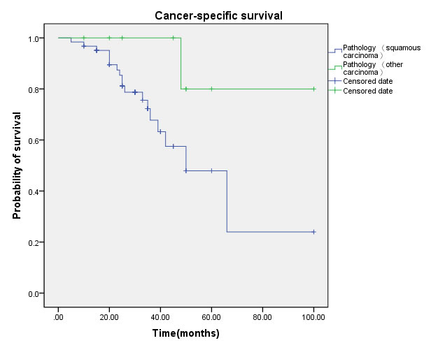 Cancer-specific survival (CSS) by pathological type between squamous carcinoma and other carcinoma groups.