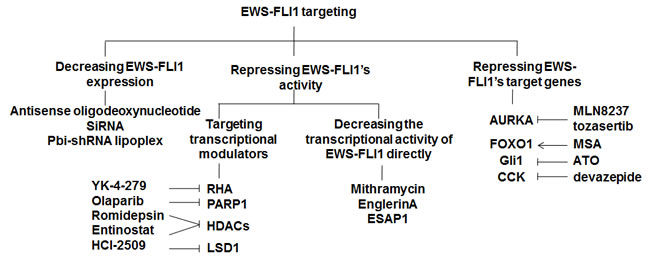 Strategies to target EWS-FLI1.