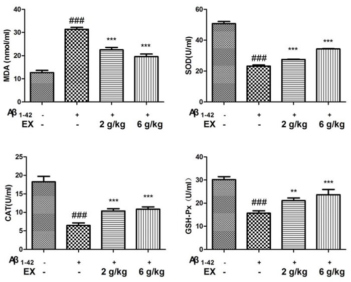 Effects of EX on the levels of SOD, MDA, CAT, GSH-Px in serum of A&#x3b2;