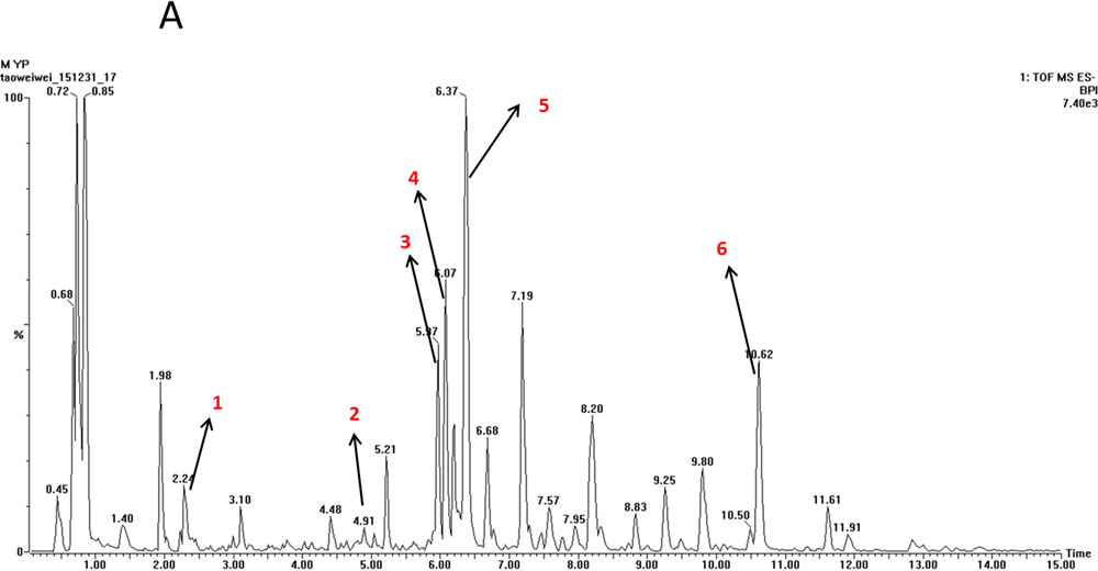 TOF-MS chromatogram of EX.