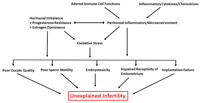 Overview of the underlying contributors to unexplained infertility associated with endometriosis.