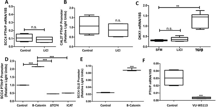 Intracellular Wnt signaling increases PTHrP expression through crosstalk with Hh signaling.