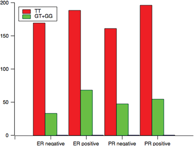 The genotype distribution of rs7003146 polymorphism among patients associated with clinical variables associated with ER and PR status.