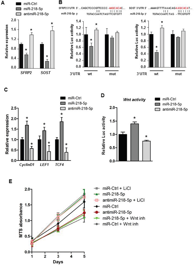 miR-218-5p directly targets Wnt inhibitors to augment Wnt signaling.