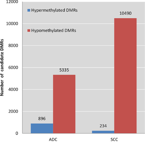 Frequencies of hyper- and hypomethylated regions in ADC and SCC.
