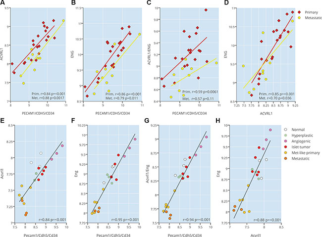 ACVRL1 and ENG expression are correlated to tumor neovasculature.