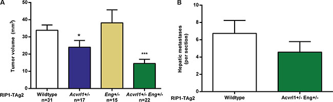 Acvrl1 and Eng deficiency synergistically decrease pancreatic neuroendocrine tumor volume.