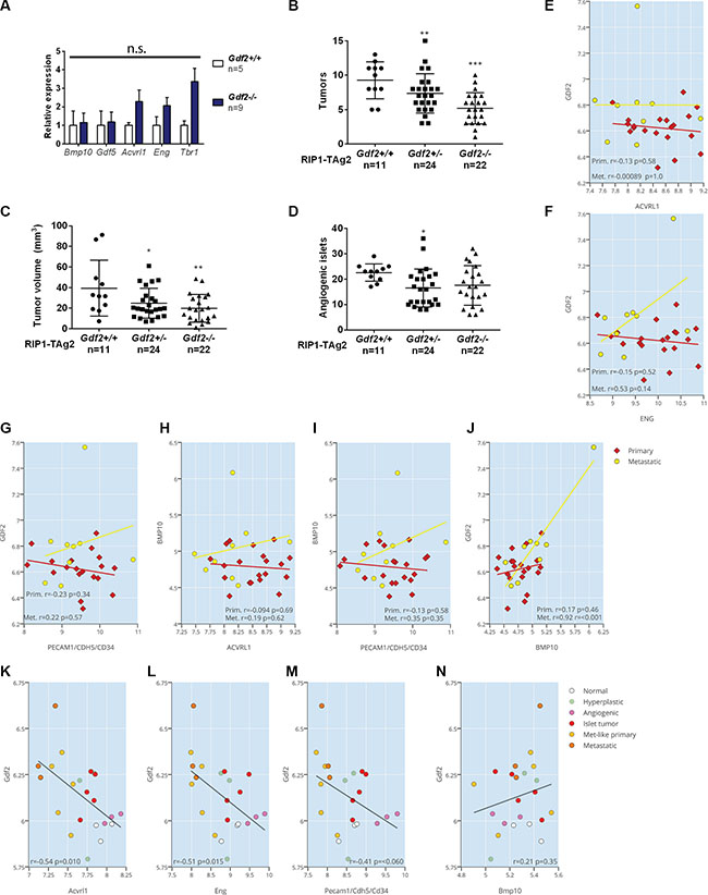 Ablation of BMP9 reduces the growth of primary PanNETs.