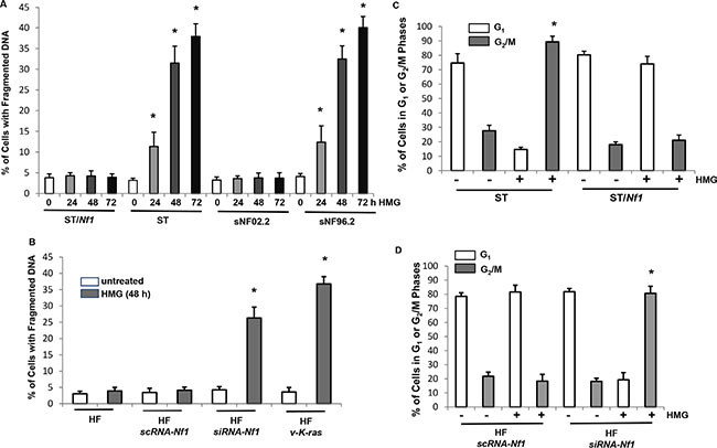 Effects of HMG on the induction of apoptosis and cell cycle progression in Nf1-deficient cells treated with HMG.