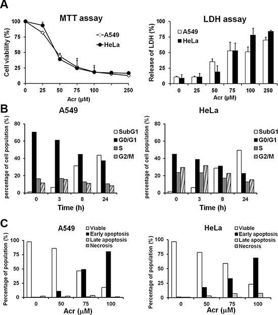 Acrolein induces the same cytotoxic effect in A549 and HeLa cells.