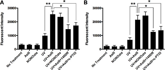 RNS contribute to AsIII enhanced UV-induced DNA double-strand break.