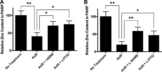 AsIII induces zinc loss from PARP-1 through RNS.