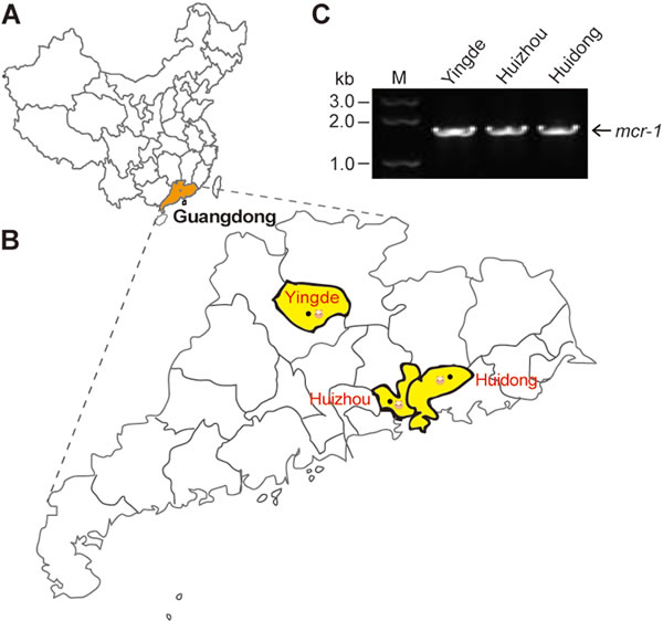 Distribution of the