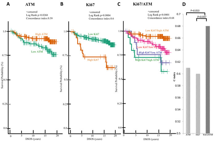 Low Ki67/high ATM expression in malignant tumors predicts favorable DSOS in ES-HPBC (size &lt; 4cm, LN &lt; 4).