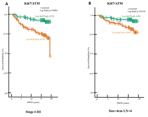 In the low Ki67 subgroup of ES-HPBC, patients with high ATM