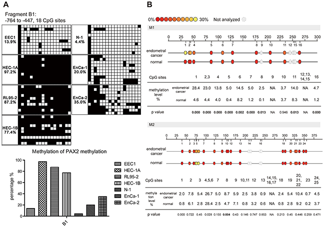 PAX2 promoter was hypermethylated in endometrial cancer cell lines and tissues.