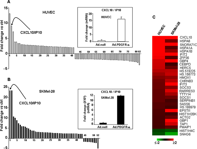 Gene expression profiling and validation in endothelial cells and melanoma overexperessing PDGFR-alpha.