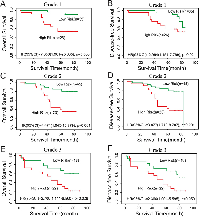 Subgroup analysis of the differentiation grade according to IHC results.