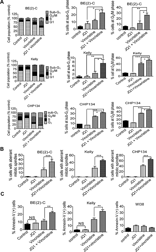 JQ1 and vincristine synergistically induce neuroblastoma cell cycle arrest at the G2/M phase, aberrant mitotic spindle formation and apoptosis.