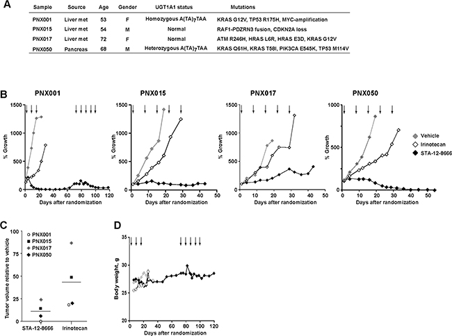 Efficacy of STA-12-8666 against patient-derived pancreatic adenocarcinoma xenografts.