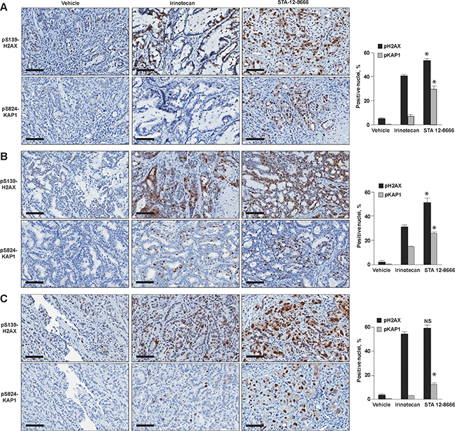 Figure 4: