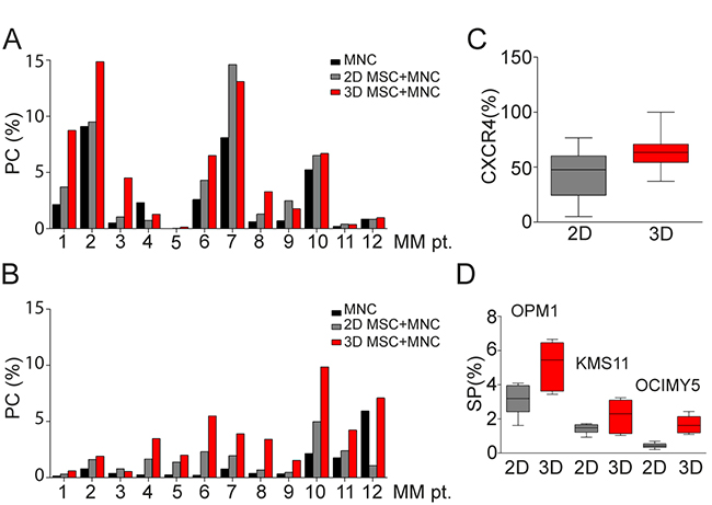 BM primary MM cells co-culture in 3D vs 2D MSC models.