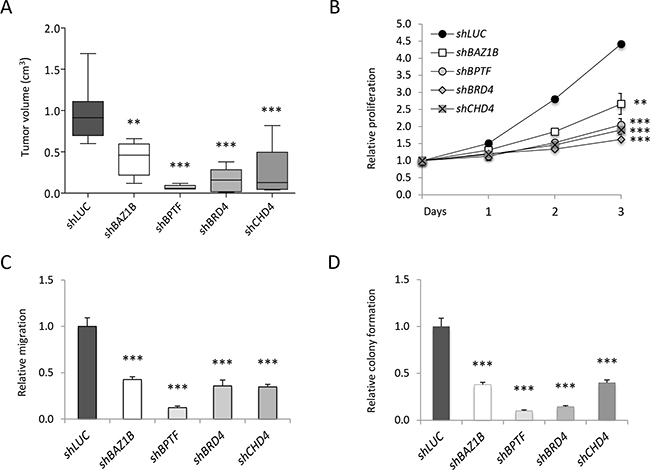 Validation of the shRNA screens.