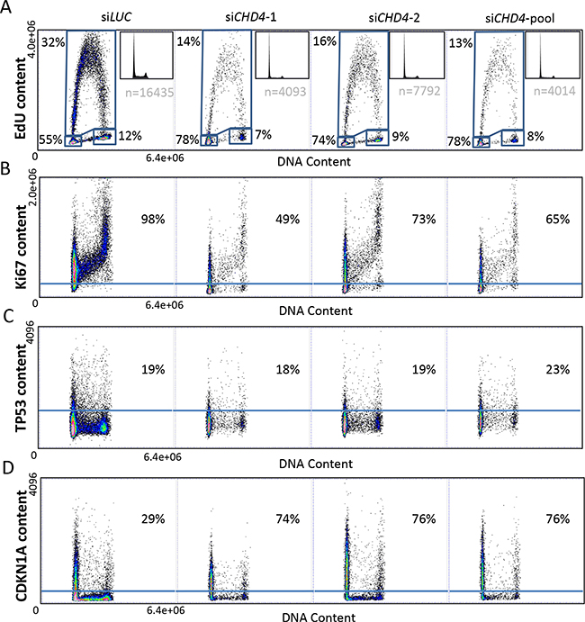 Cell cycle progression, proliferation index and checkpoint activation analysis by high-content and high-resolution multiparameter image cytometry.