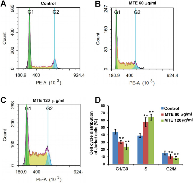 MTE inhibited the proliferation of Jurkat cells by arresting cell cycle at S phase.