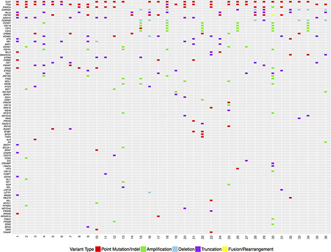 Genetic features of primary tumors from non-progressors, progressors and patients with metastatic urothelial carcinoma.